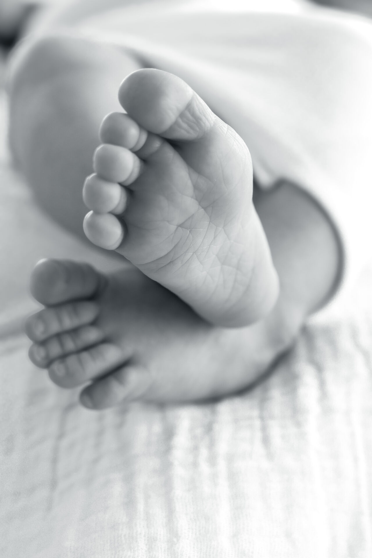 Close-up of newborn crossed feet, black and white