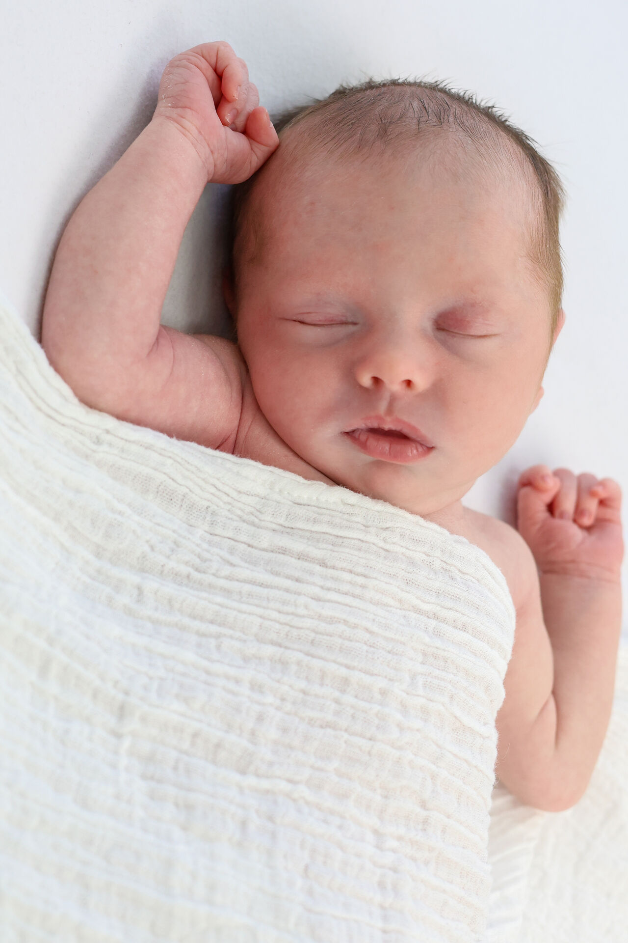 Sleeping newborn portrait wrapped in soft wrap